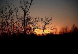 交際クラブで出会った男女が訪れた夕陽の丘