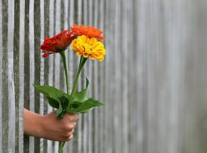 デートで素敵な相手に渡す花